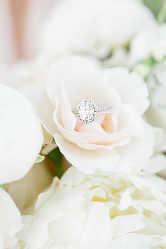 wedding ring roses on white flower