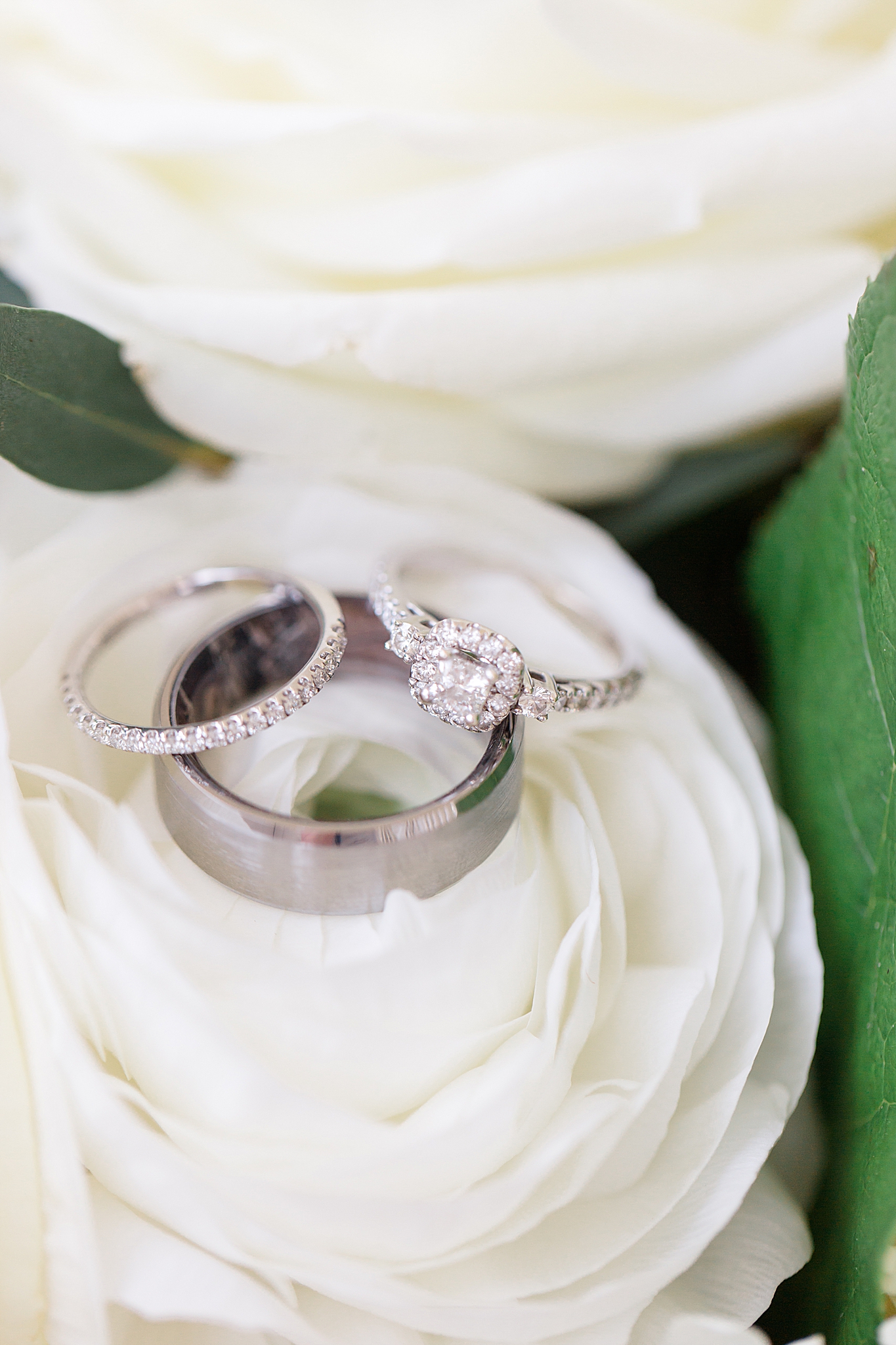 wedding rings rest on ivory flower