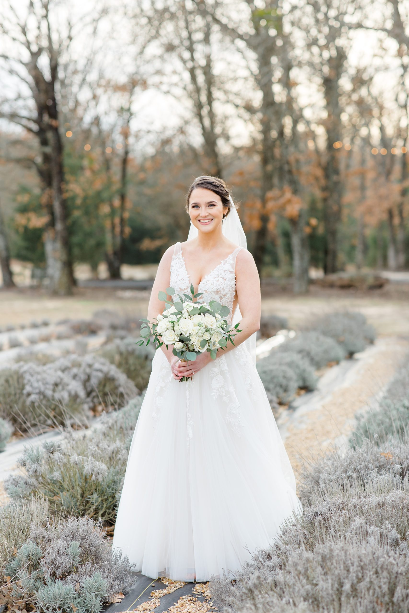 Dallas TX bridal portraits in lavender field