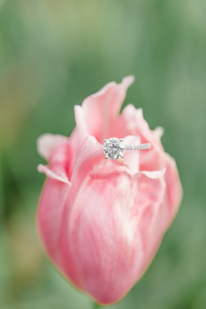 engagement ring sits on pink flower during spring engagement photos