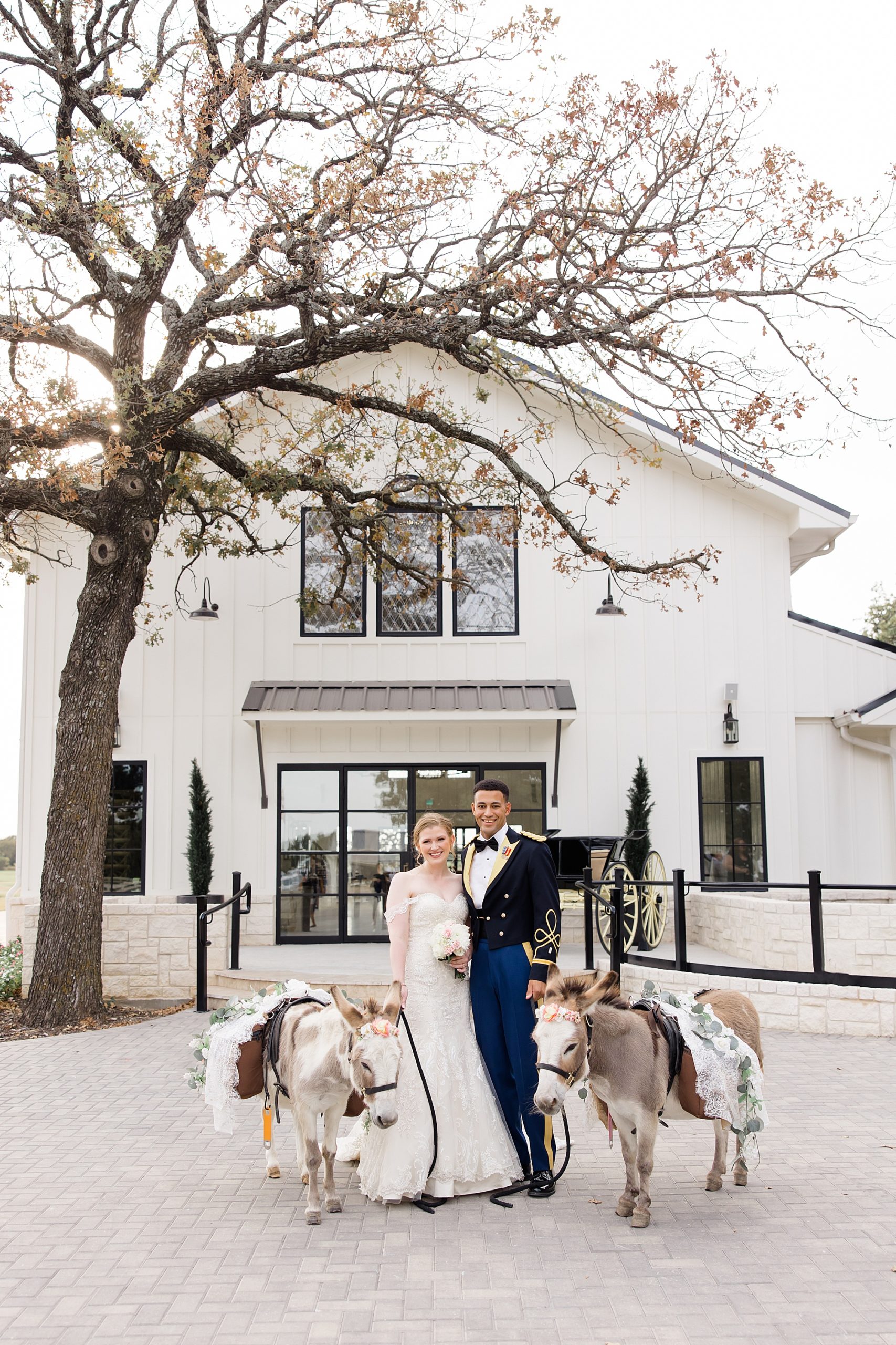 bride and groom stand with donkeys at Bella Cavalli