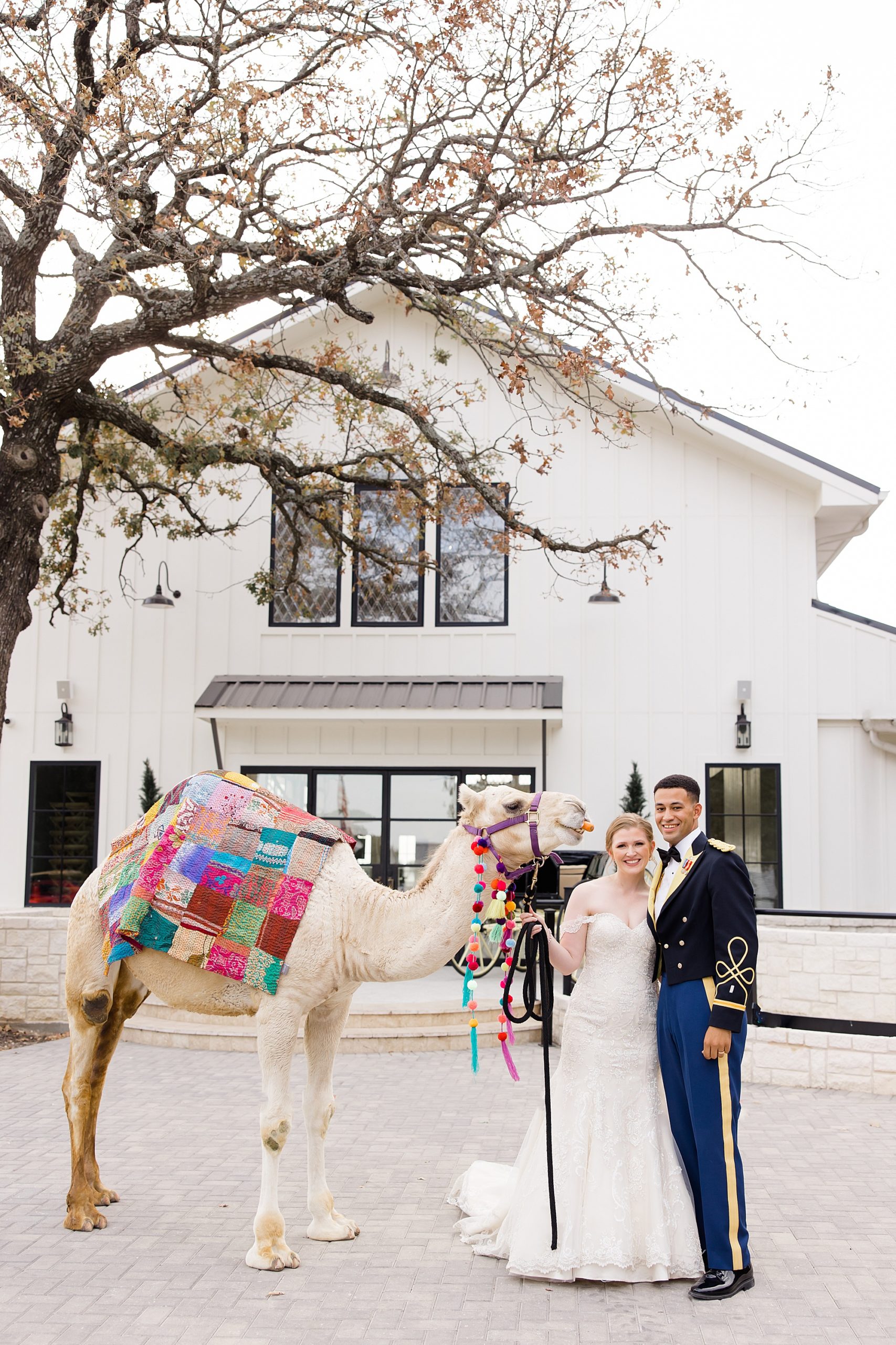 newlyweds pose with camel at Bella Cavalli