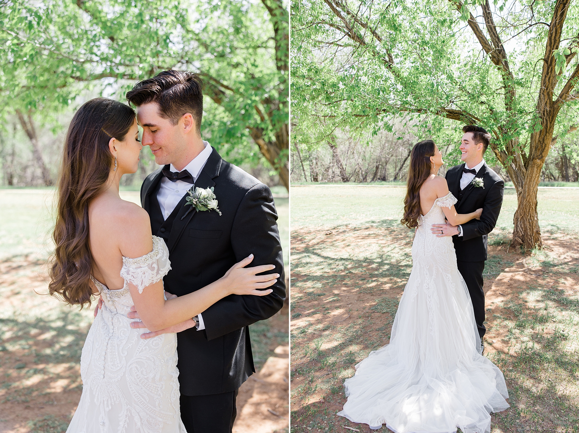 newlyweds kiss under tree in Arizona 