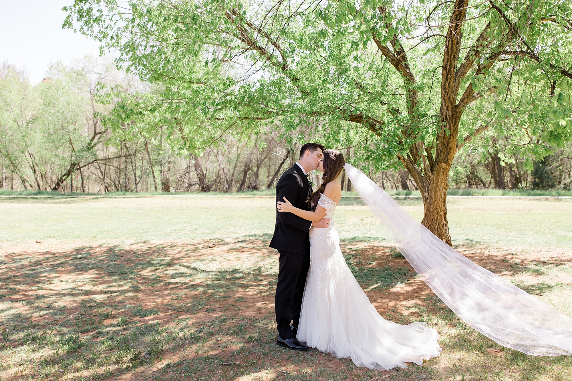 newlyweds kiss under tree with bride's veil floating 