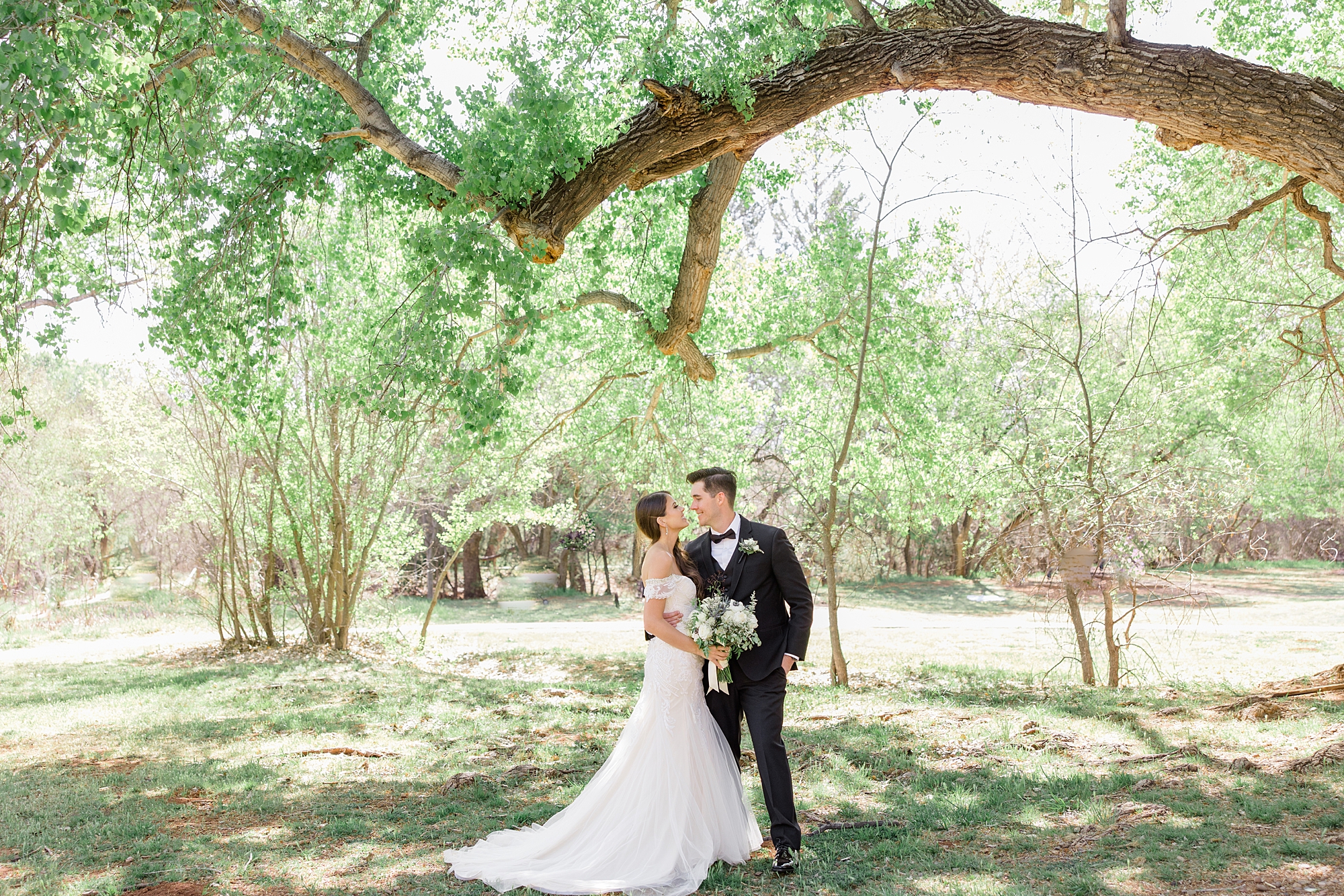 bride and groom pose under big tree in Sedona AZ