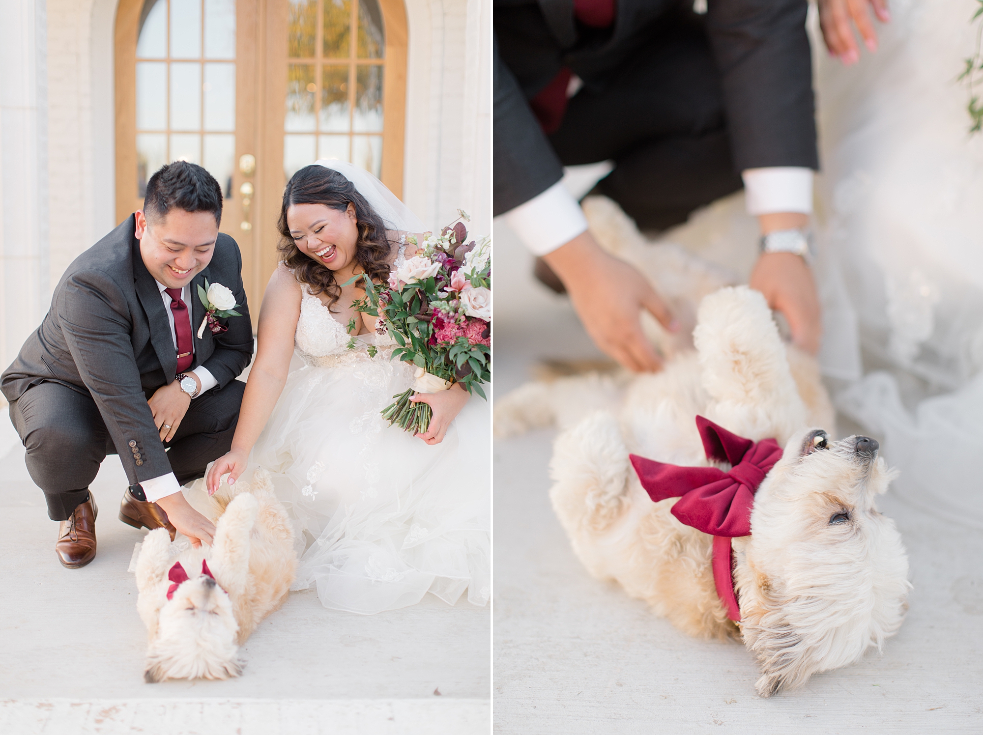 bride and groom pet golden dog laying on his back 